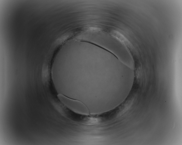 X0000090470352200707131302