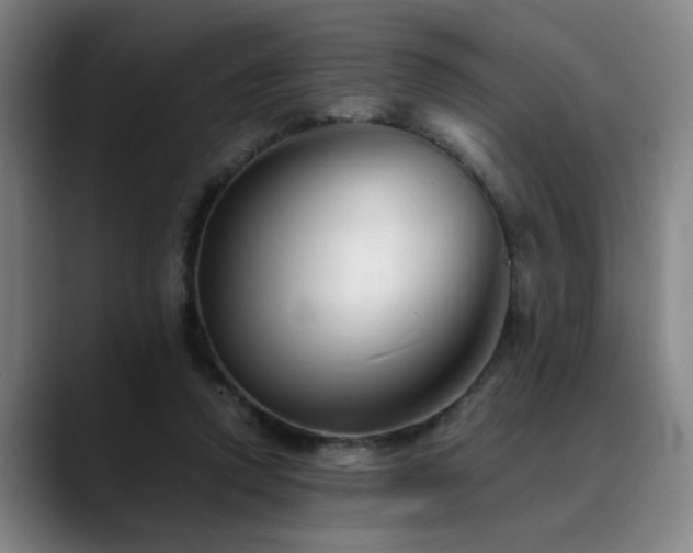 X0000090470354200707131302