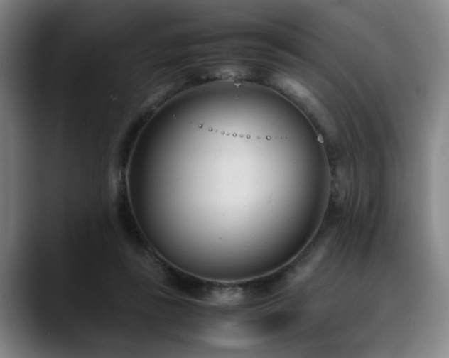 X0000090470355200707131302