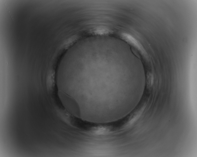 X0000090470356200707131302