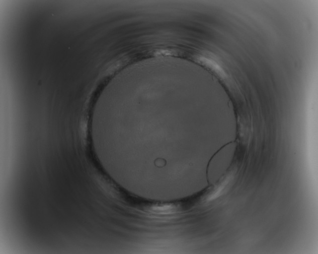 X0000090470357200707131302