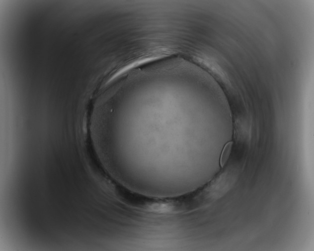 X0000090470358200707131302