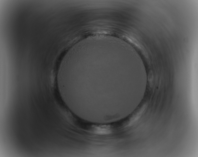 X0000090470359200707131302