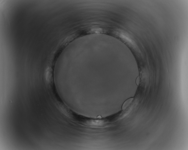 X0000090470361200707131302