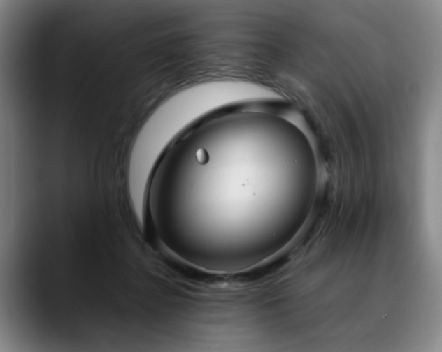 X0000090470364200707131302