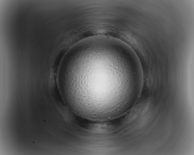 X0000090470366200707131302