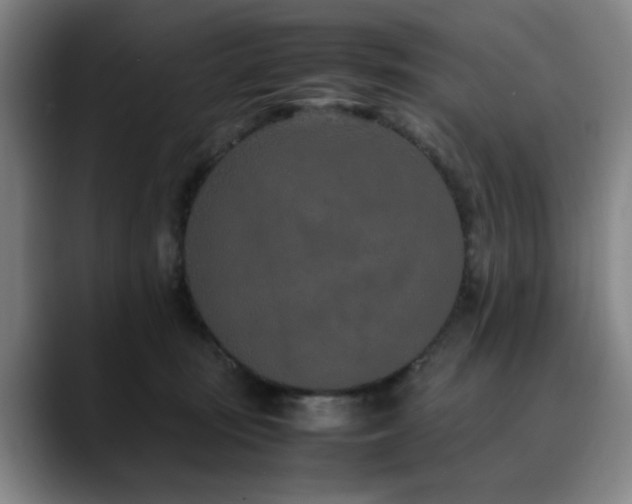 X0000090470371200707131302