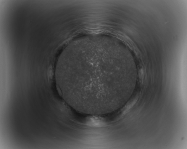X0000090470372200707131302