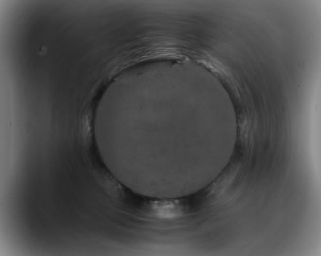 X0000090470373200707131302