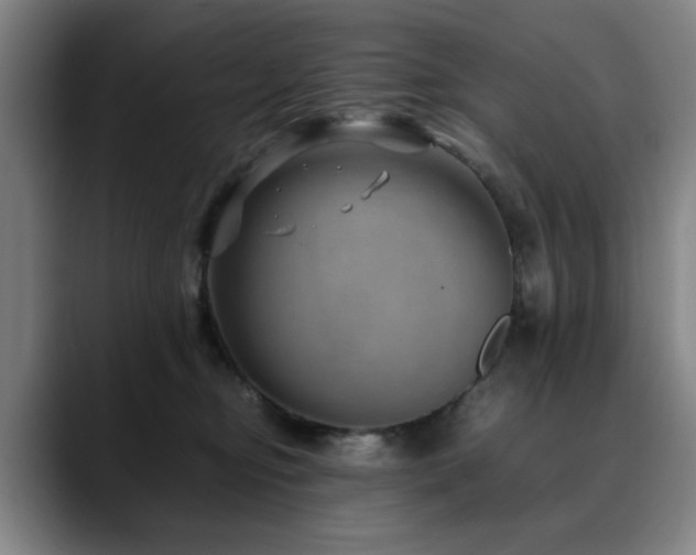 X0000090470374200707131302