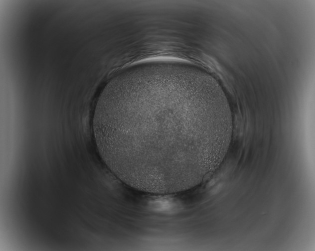 X0000090470377200707131302
