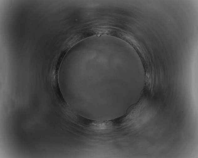 X0000090470381200707131302