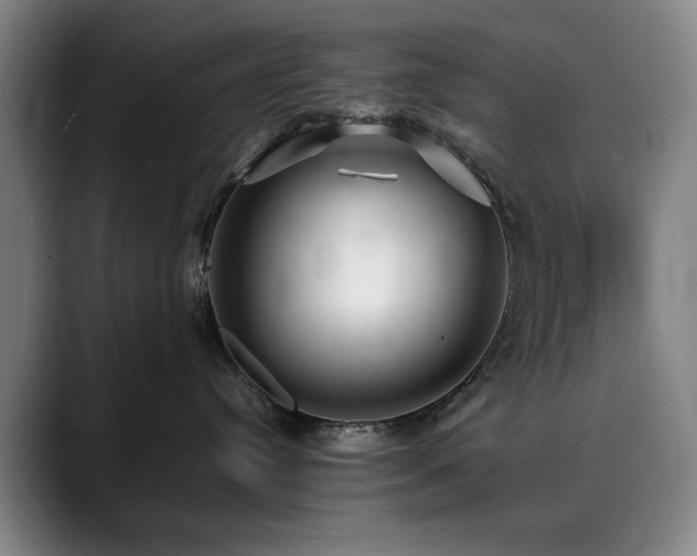 X0000090470384200707131302
