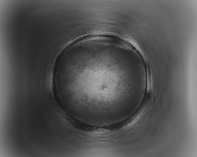 X0000090470387200707131301