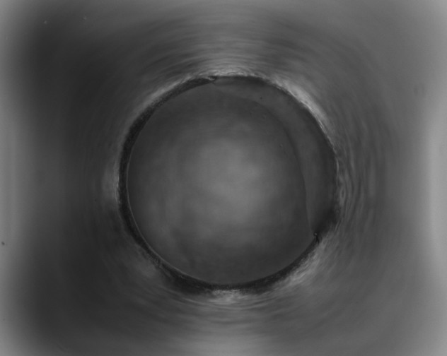 X0000090470391200707131301