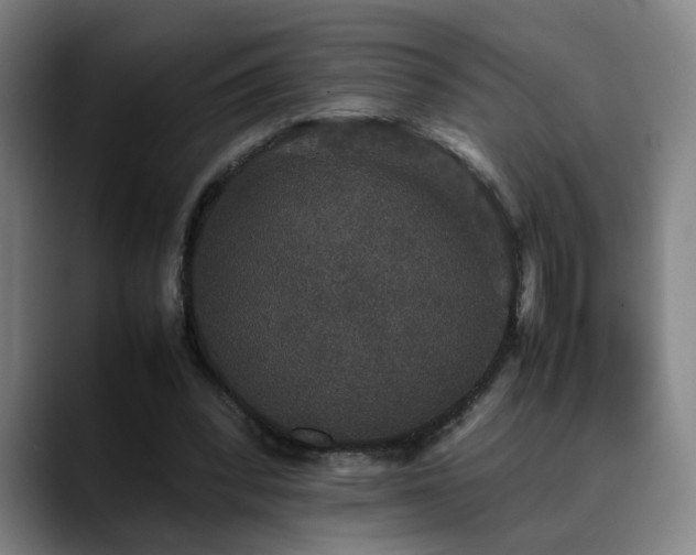 X0000090470392200707131301