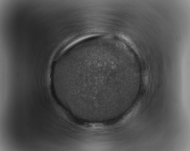 X0000090470395200707131301