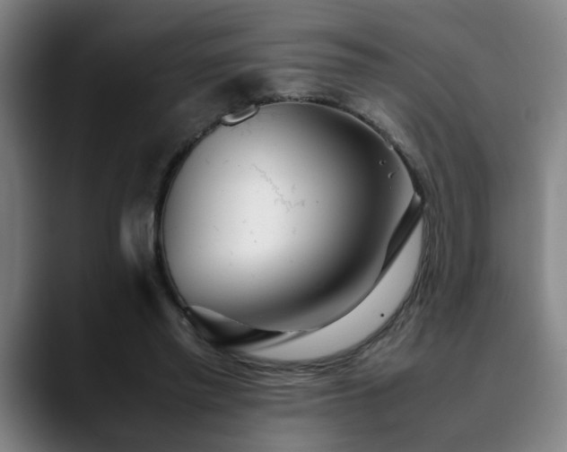 X0000090470397200707131301