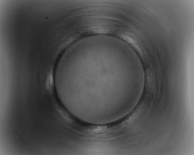 X0000090470398200707131301