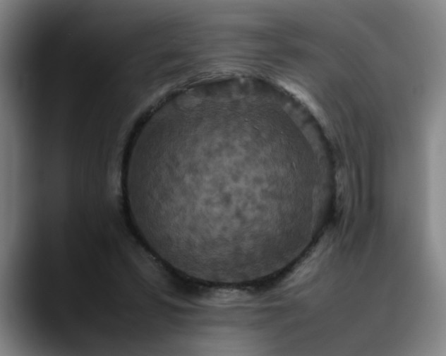 X0000090470399200707131301