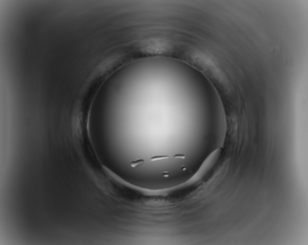 X0000090470400200707131301
