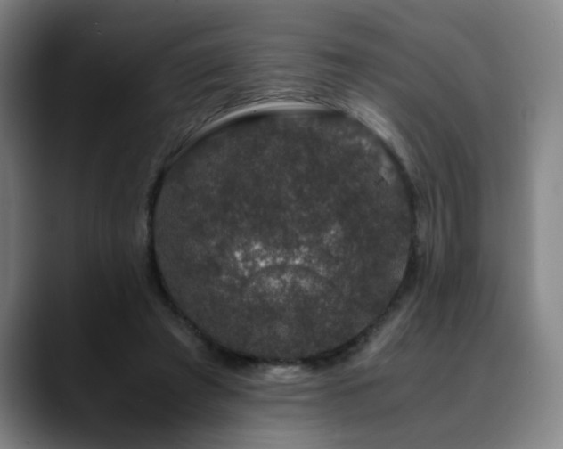 X0000090470401200707131301