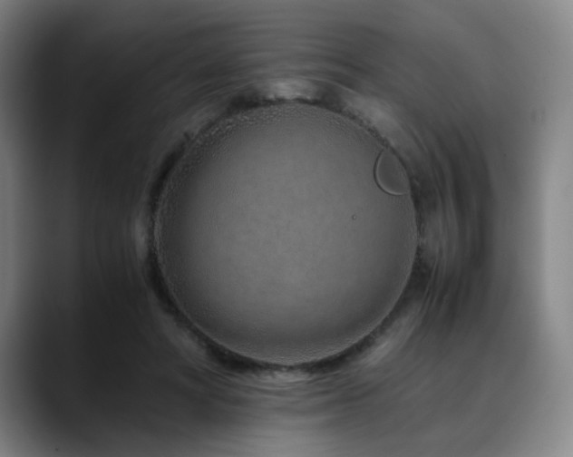X0000090470402200707131301