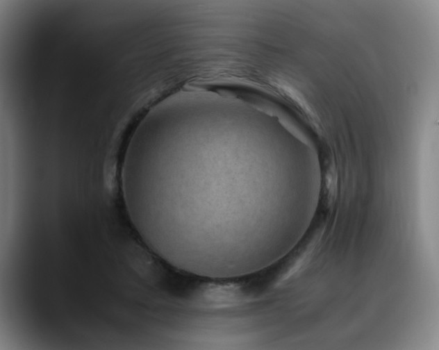 X0000090470403200707131301