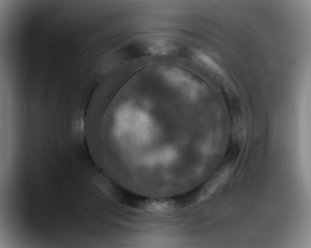 X0000090470405200707131301