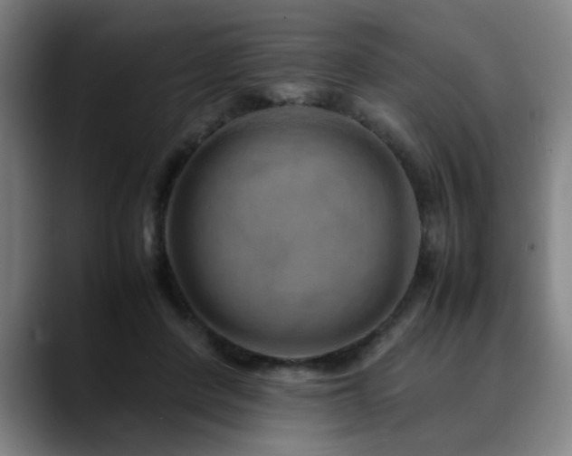 X0000090470408200707131301