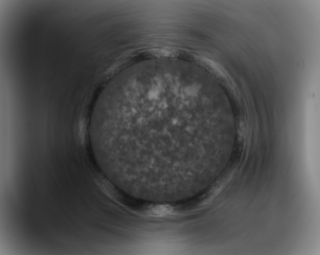 X0000090470409200707131301