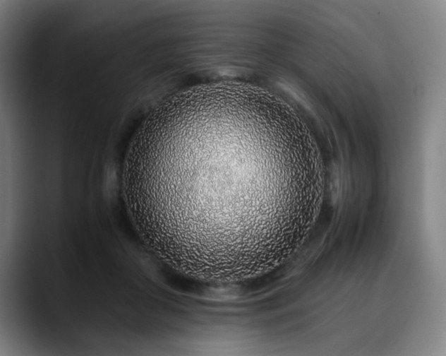 X0000090470410200707131301