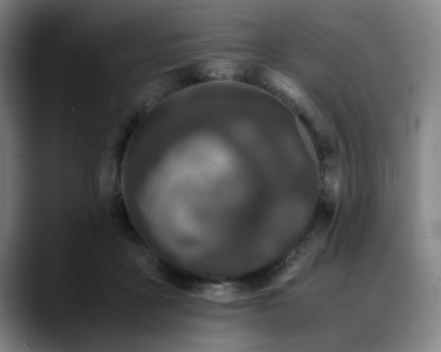 X0000090470411200707131301