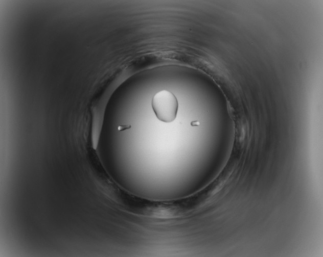 X0000090470412200707131301