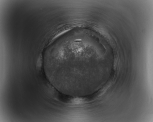 X0000090470413200707131301