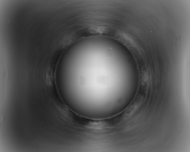 X0000090470414200707131301