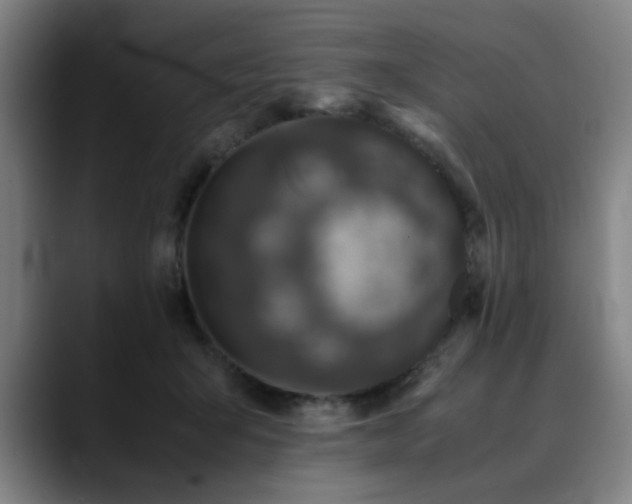 X0000090470415200707131301