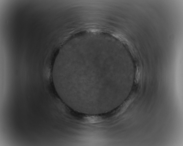 X0000090470417200707131301