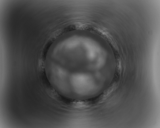 X0000090470419200707131301