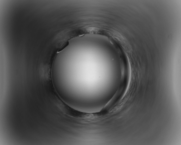 X0000090470421200707131301