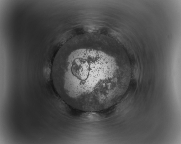 X0000090470427200707131301