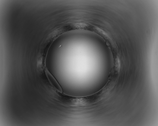 X0000090470428200707131301