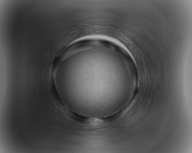 X0000090470429200707131301