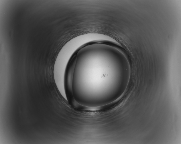 X0000090470432200707131301