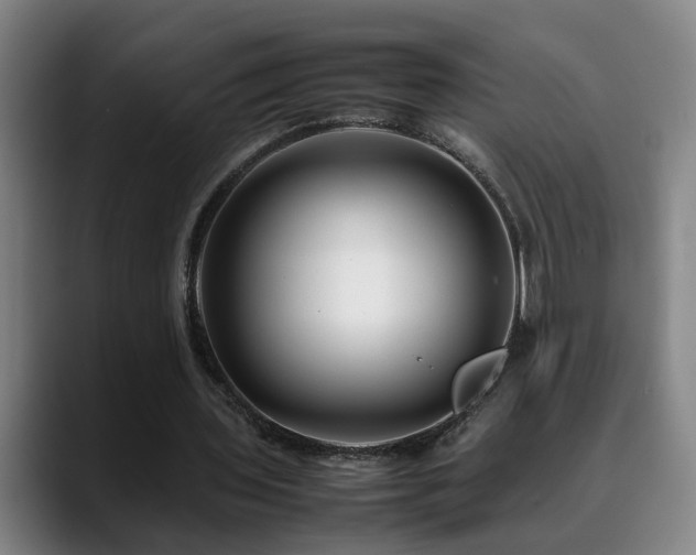 X0000090470435200707131300