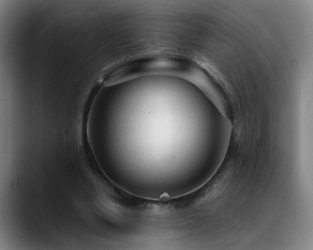 X0000090470442200707131300