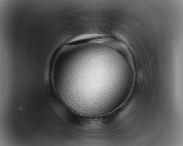 X0000090470443200707131300