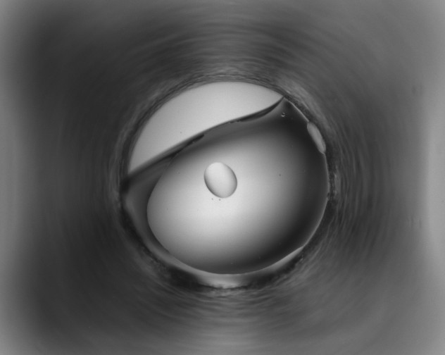X0000090470444200707131300