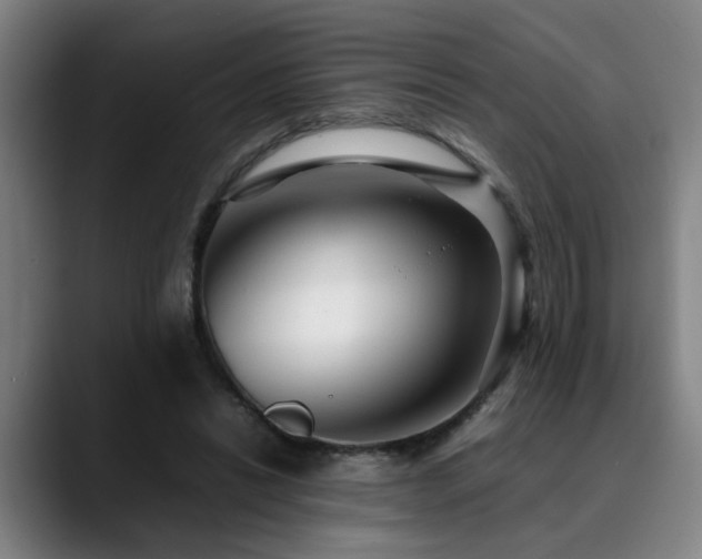 X0000090470446200707131300