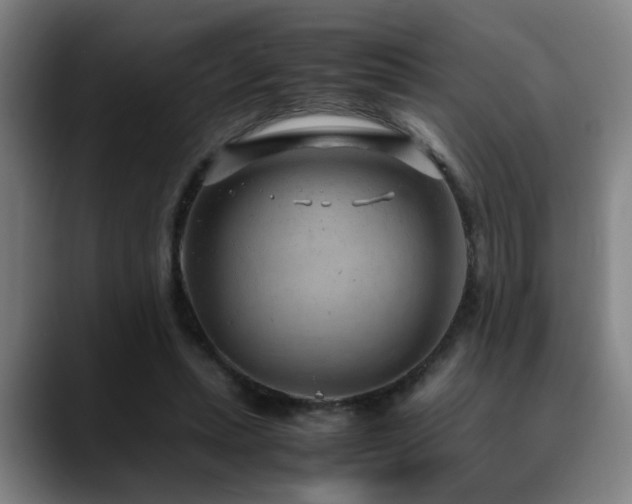 X0000090470447200707131300